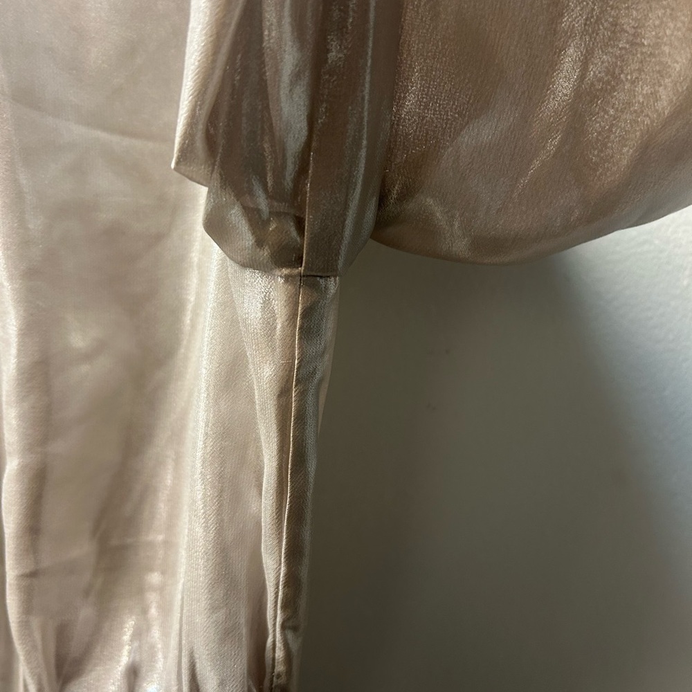 Wilfred Shimmering Silver Blouse - Picture 5 of 8